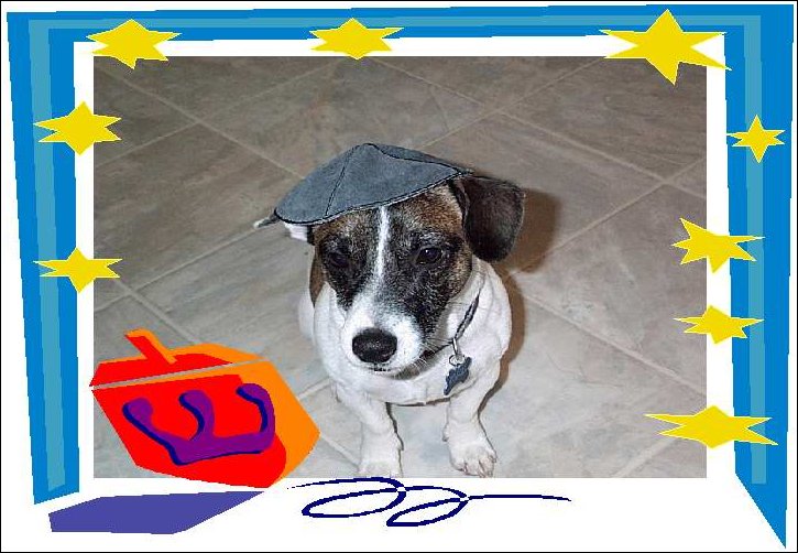 Di's Dogs